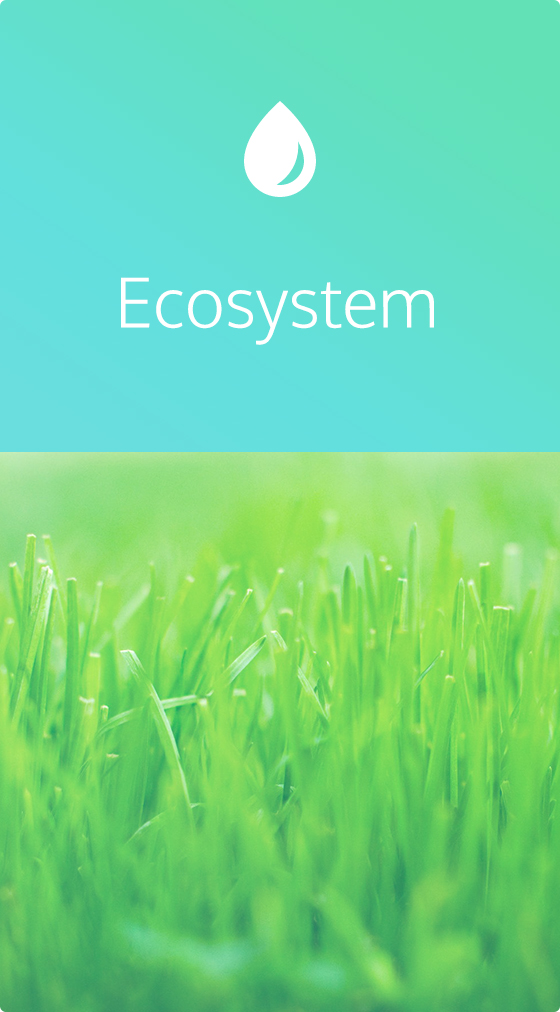 ecosystem-ecopropane